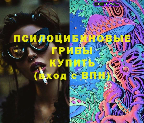 сатива Абинск