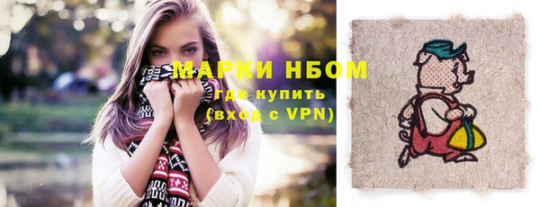 сатива Абинск