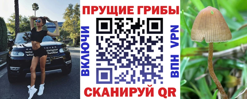 Галлюциногенные грибы GOLDEN TEACHER Архангельск