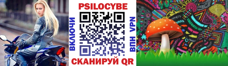 где можно купить Архангельск Галлюциногенные грибы Magic Shrooms