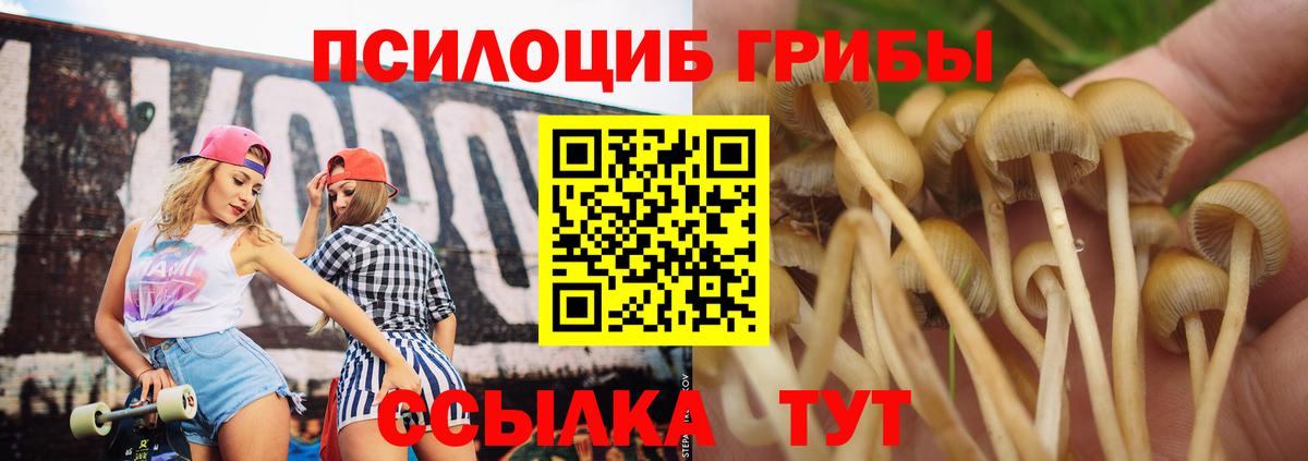 Галлюциногенные грибы Magic Shrooms Архангельск