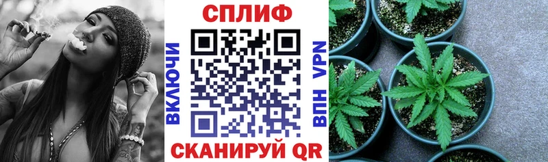 цена   Архангельск  Конопля план 